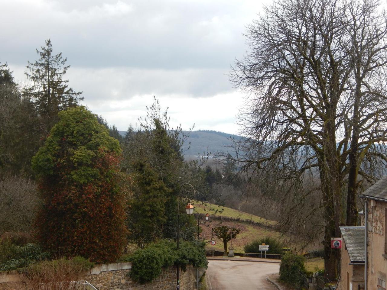 Le Lion D'Or Hotell Ouroux-en-Morvan Exteriör bild